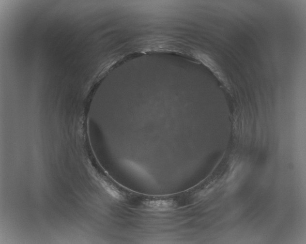 X0000067890449200604131333