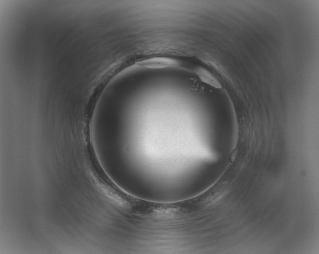 X0000067890450200604131333