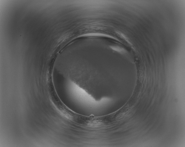 X0000067890451200604131333