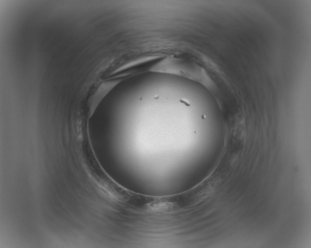 X0000067890452200604131333