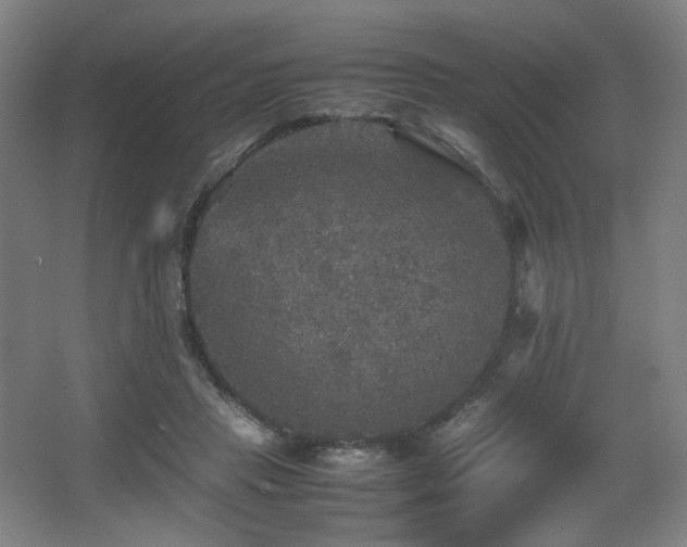 X0000067890453200604131333