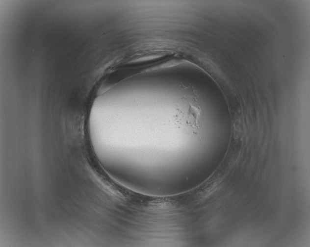 X0000067890454200604131333