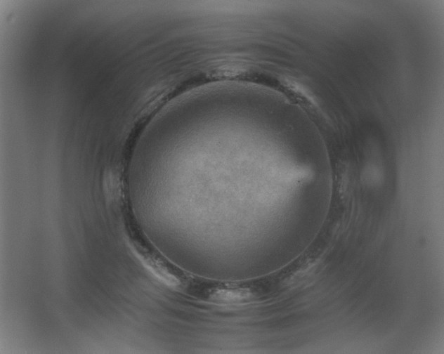 X0000067890455200604131333