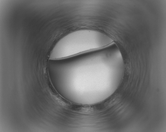 X0000067890458200604131333