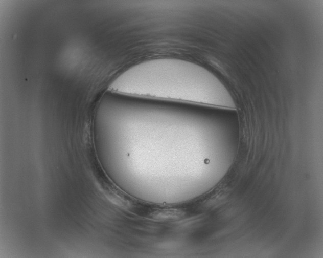 X0000067890459200604131333