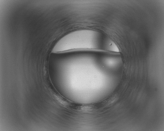 X0000067890462200604131333