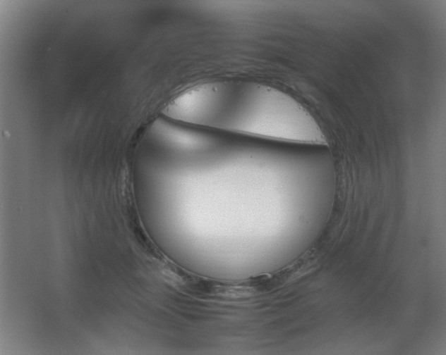 X0000067890463200604131333