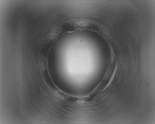 X0000067890464200604131333