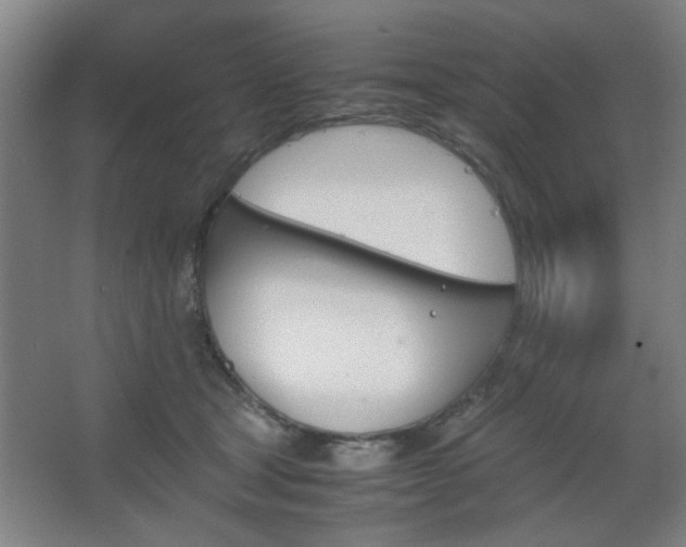 X0000067890465200604131333