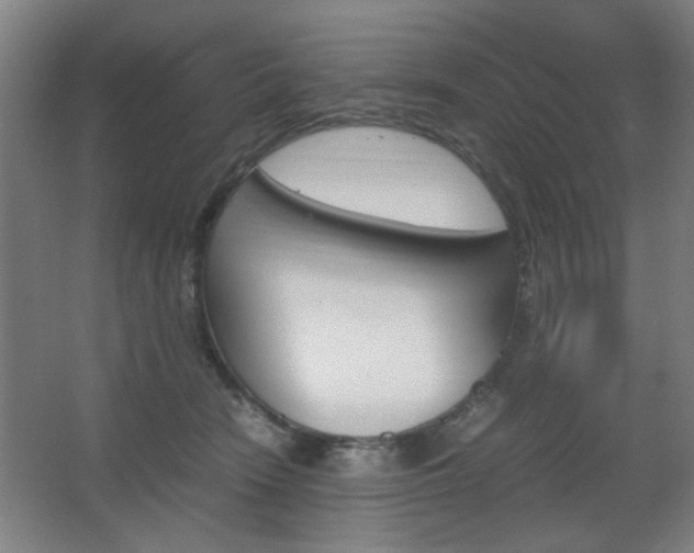 X0000067890466200604131333