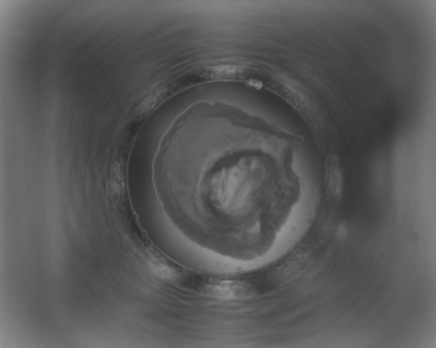 X0000067890467200604131333