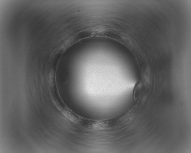 X0000067890468200604131333