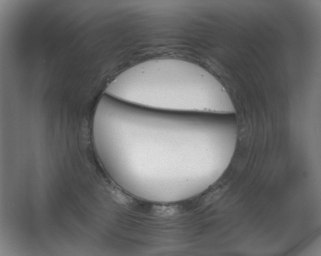 X0000067890469200604131333