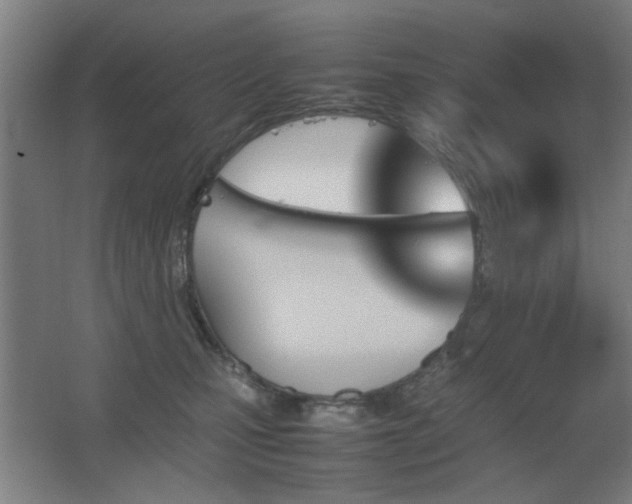 X0000067890471200604131333