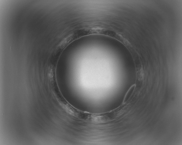 X0000067890472200604131333