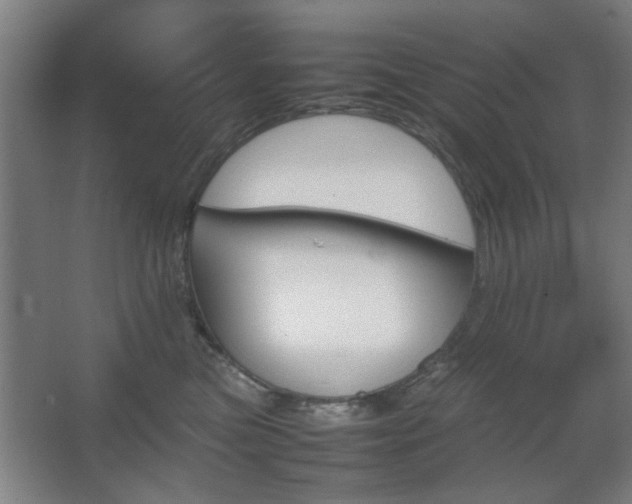 X0000067890473200604131333