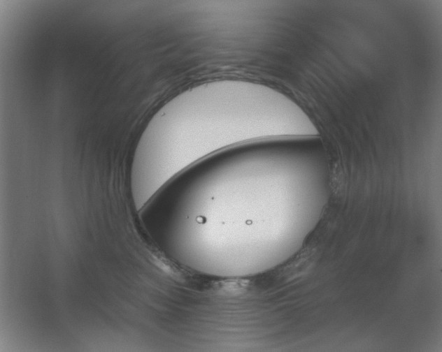 X0000067890474200604131333