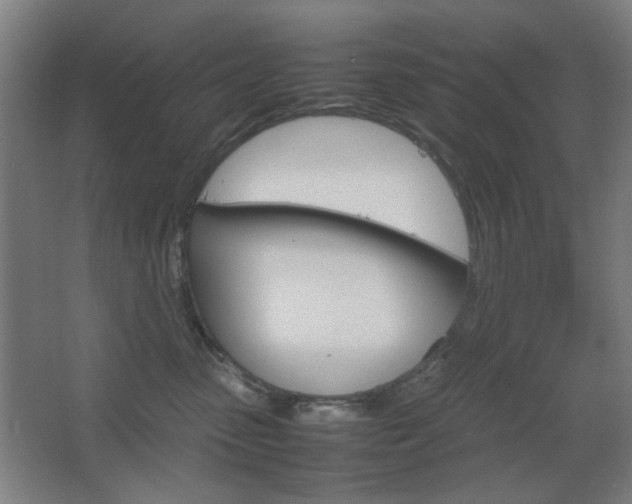 X0000067890475200604131333