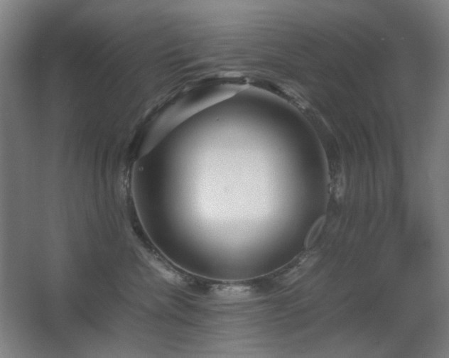 X0000067890476200604131333