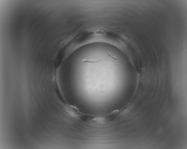 X0000067890478200604131333