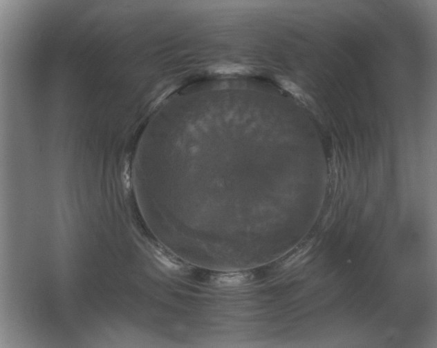 X0000067890479200604131333