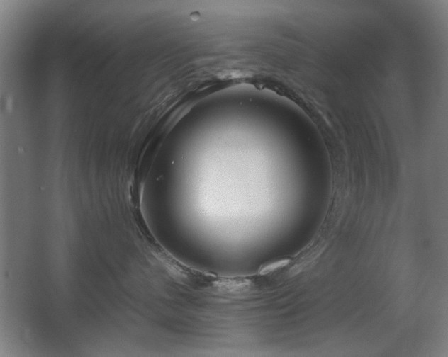 X0000067890480200604131333