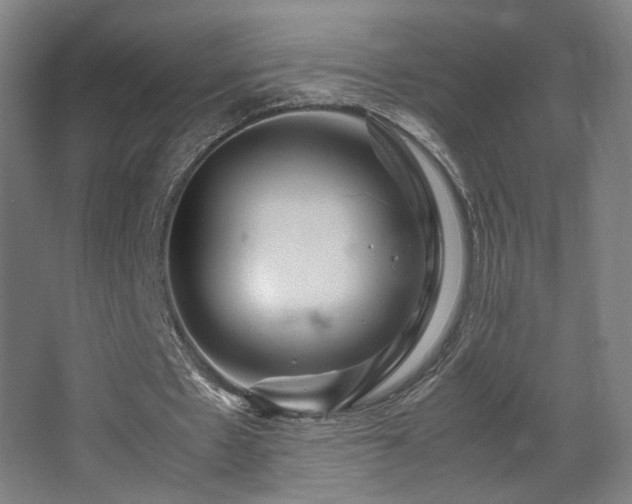 X0000067890481200604131332