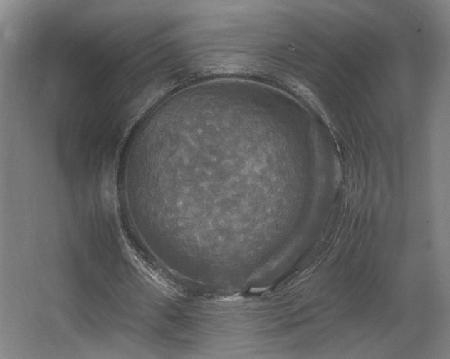 X0000067890482200604131332