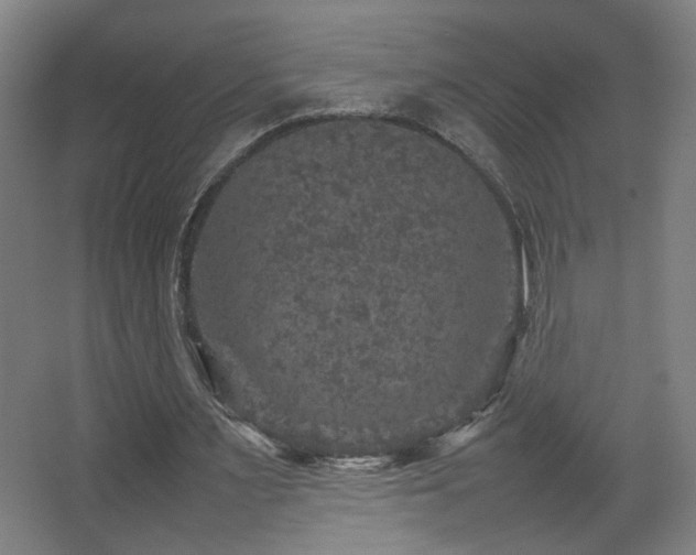 X0000067890483200604131332