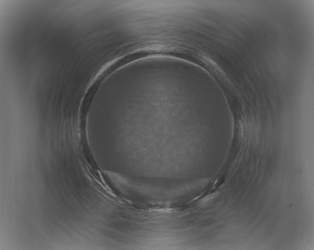 X0000067890484200604131332