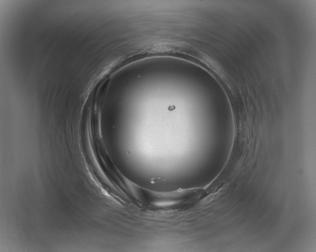 X0000067890485200604131332