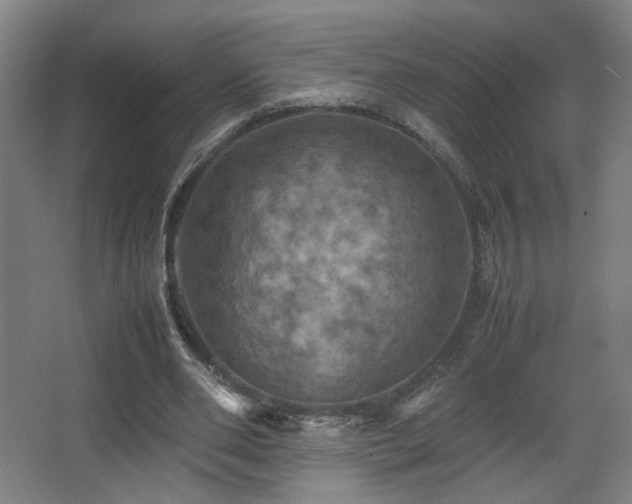 X0000067890486200604131332