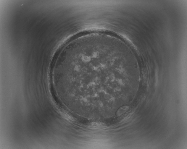 X0000067890487200604131332