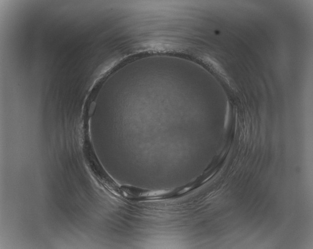 X0000067890488200604131332