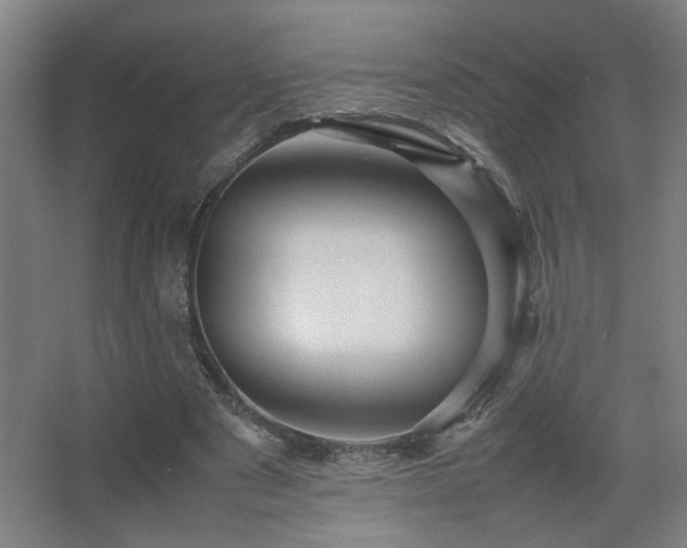 X0000067890489200604131332