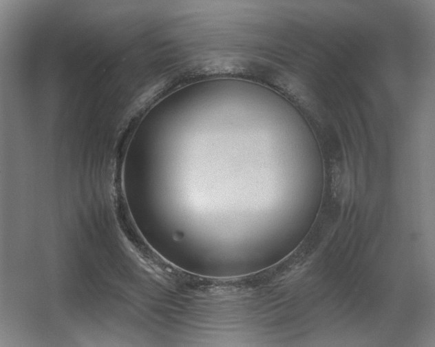 X0000067890490200604131332