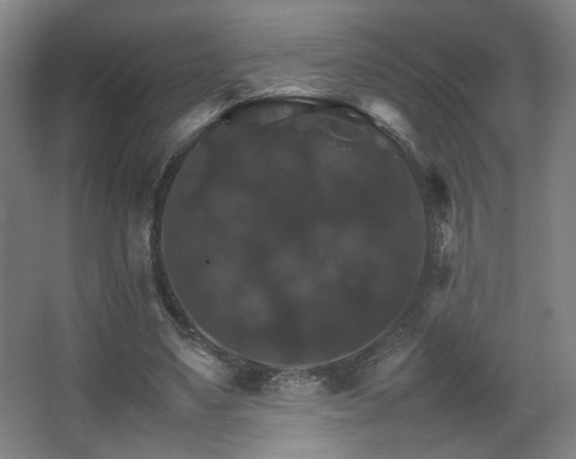 X0000067890491200604131332