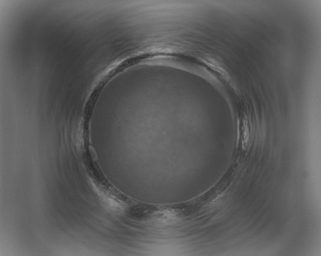 X0000067890492200604131332