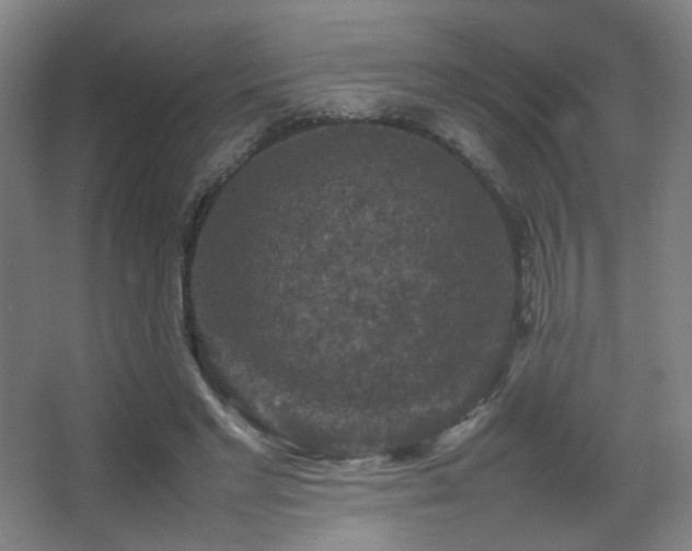 X0000067890493200604131332