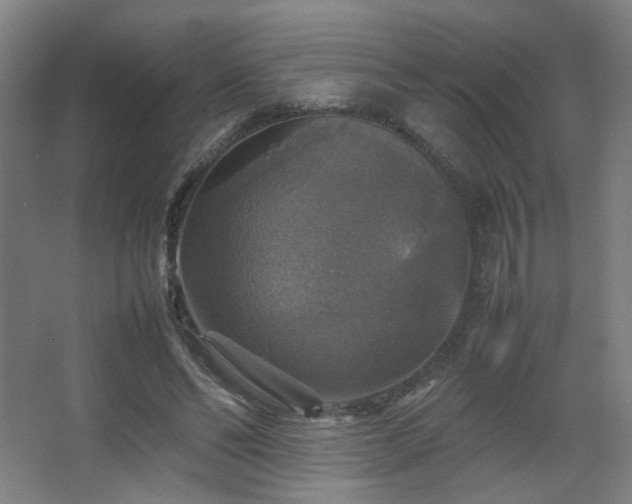 X0000067890494200604131332