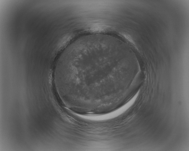 X0000067890495200604131332