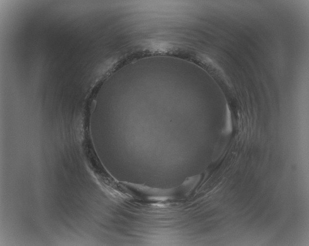 X0000067890496200604131332