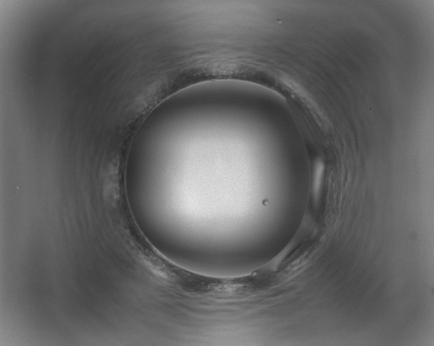 X0000067890497200604131332