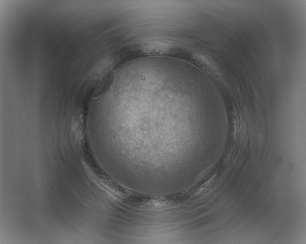 X0000067890498200604131332