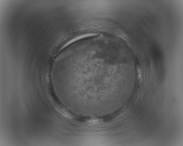 X0000067890499200604131332