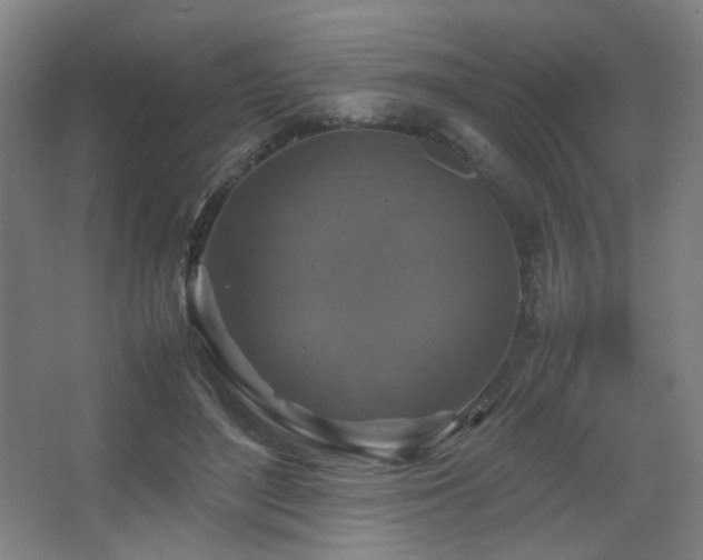 X0000067890500200604131332