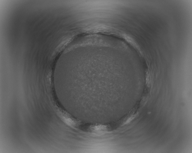 X0000067890501200604131332