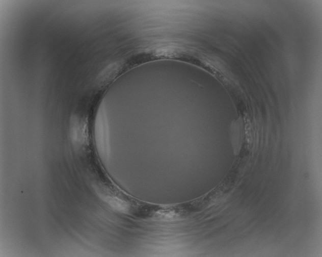 X0000067890502200604131332