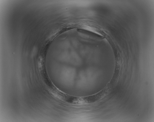 X0000067890503200604131332