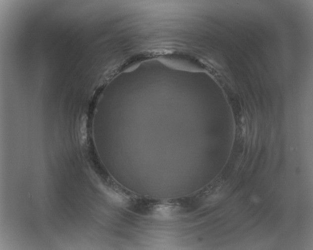 X0000067890504200604131332